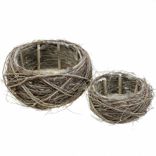 Kasvikori viiniköynnös ja oksat valkoiseksi pesty Ø37/28cm sarja 2 kpl