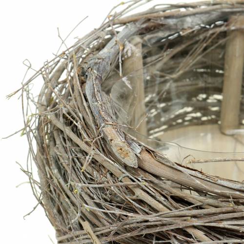 Floristik24 Kasvikori viiniköynnös ja oksat valkoiseksi pesty Ø37/28cm sarja 2 kpl