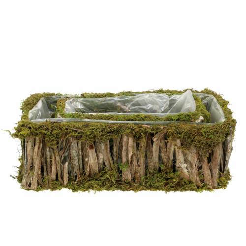 Floristik24 Kasvikori neliömäinen sammal, kuori 34 × 15,5 / 24,5 × 11 cm, 2 kpl