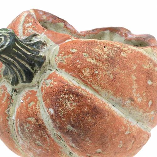 Floristik24 Kurpitsa istutukseen Oranssi 19×15×16cm