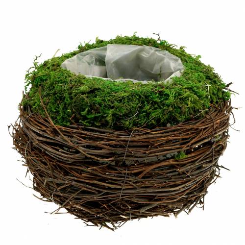 Floristik24 Istutusmalja rottinki, sammal Ø19cm K13cm