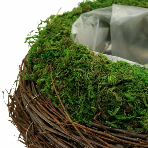 Floristik24 Istutusmalja rottinki, sammal Ø19cm K13cm