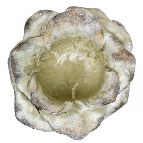 Floristik24 Ruusun kukka istutukseen, hautajaiskukkakauppa, kiviruusu, betonikoriste Harmaa, Aprikoosi, Violetti Ø11cm L22cm K9cm L22cm K9cm
