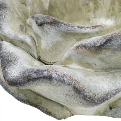 Floristik24 Ruusun kukka istutukseen, hautajaiskukkakauppa, kiviruusu, betonikoriste Harmaa, Aprikoosi, Violetti Ø11cm L22cm K9cm L22cm K9cm