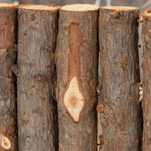 kohteita Kasvikulho neliön muotoiset luonnonkoivun oksat 14,5/20cm 2 kpl setti