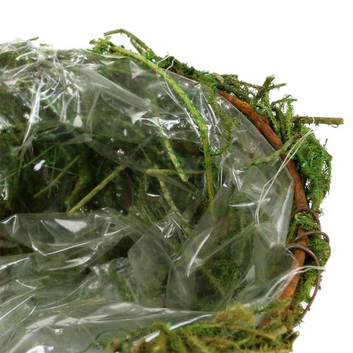 Floristik24 Istutuskulho sammalella Ø16cm H9cm - 10cm vihreä 3kpl