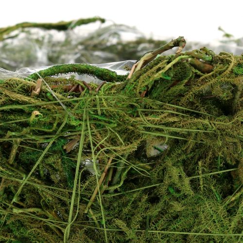 Floristik24 Istutuskulho sammalella Ø16cm H9cm - 10cm vihreä 3kpl