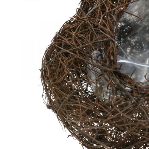 kohteita Kasvikulho sydänhautausmaa, viiniköynnössydän istutukseen 21cm