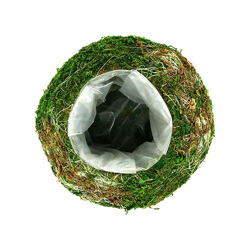 Floristik24 Kasvikulho sammalkulho Ø18cm 2kpl