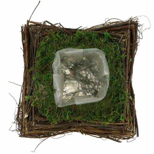 Kasvityyny rottinki, sammal 20cm x 20cm K8cm