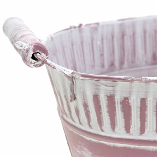 Floristik24 Istutuskulho soikea lila valkoinen pesty 28cm x 17cm K12cm