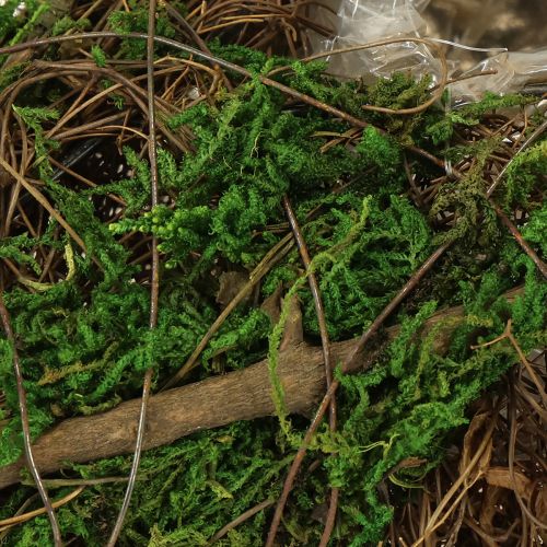 Floristik24 Köynnösten ja sammaleen istutuskulho 31 × 17 × 6 cm