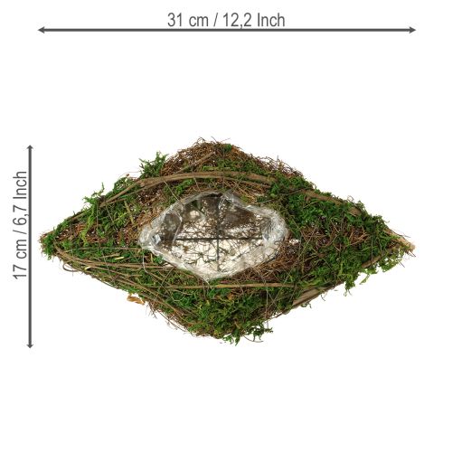 Floristik24 Köynnösten ja sammaleen istutuskulho 31 × 17 × 6 cm