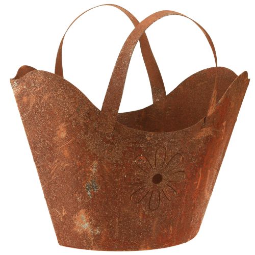 Kasvipussi metallinen koristekasvin ruoste kahvoilla H37cm