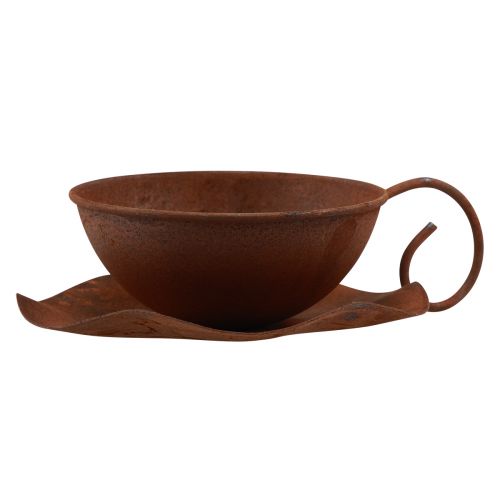 Floristik24 Kasvikuppi lautasella vintage ruoste Ø17,5cm K6cm