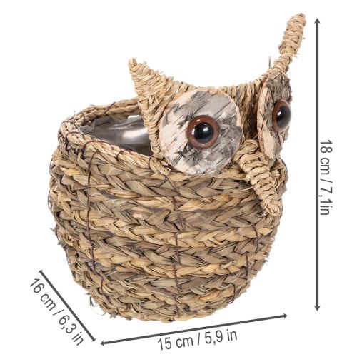 Käsin punottu pöllökoristeinen ikkunalaudalle, 18 cm | Floristik24.fi