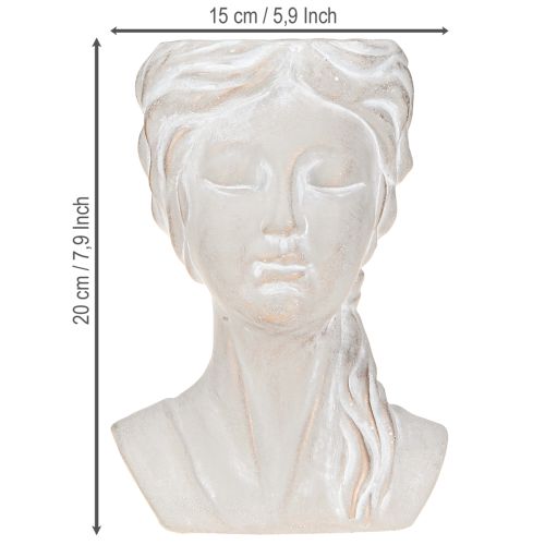 kohteita Ruukku naaras rintakuva vintage istutuskone valettu kivi H20cm