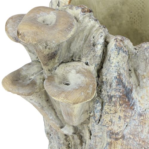 kohteita Kukkaruukku, valettu kivi, sienikuvio, puunkanto, 16 cm