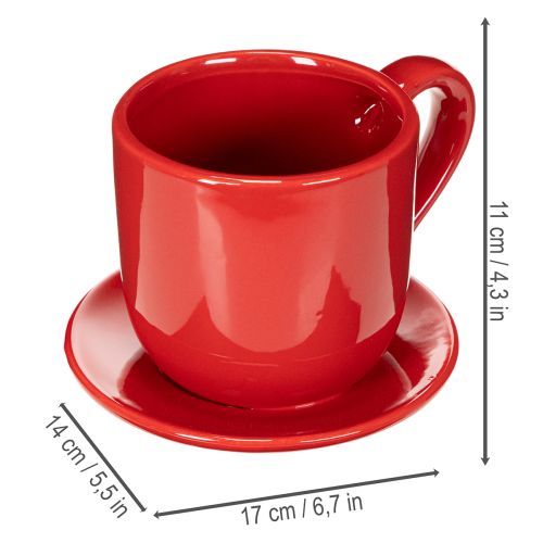 Suuri koristeellinen kuppi lautasella, sopii kukkaruukuksi, 17 cm | Floristik24.fi