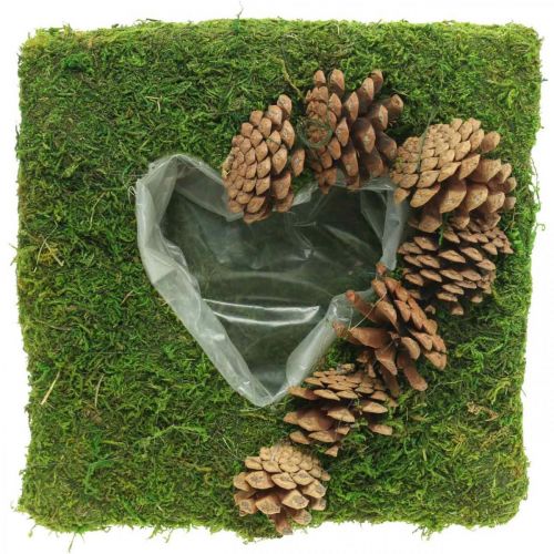 Kasvityyny Sydän sammalta ja käpyjä neliö 25×25cm