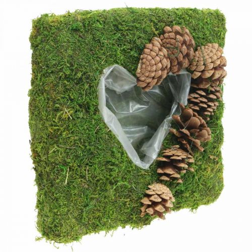 Floristik24 Kasvityyny Sydän sammalta ja käpyjä neliö 25×25cm