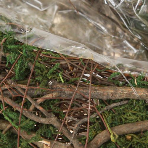 Floristik24 Plant Wave Vines -pieni kukkamalja sammalella 31 × 15 × 7 cm