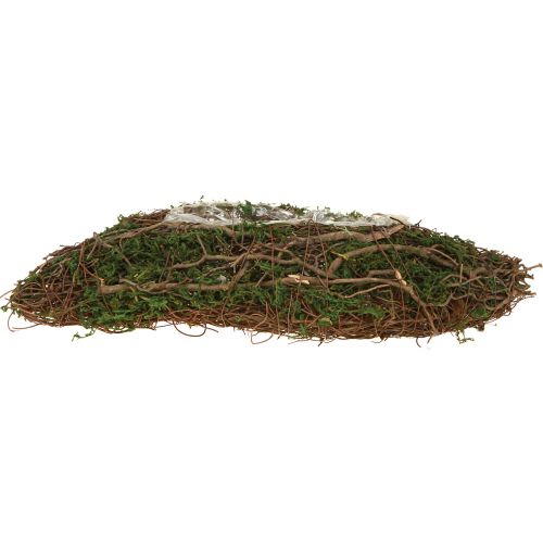 Floristik24 Plant Wave Vines -pieni kukkamalja sammalella 31 × 15 × 7 cm