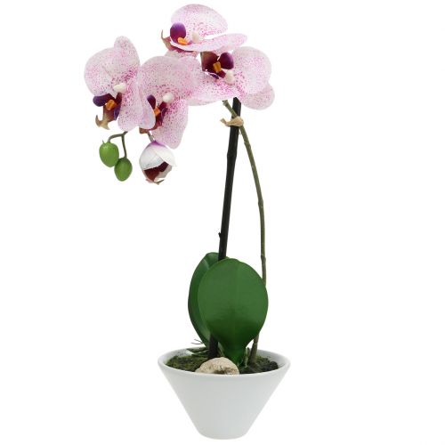 Keinotekoinen Phalaenopsis violetti-valkoinen kulhossa H38cm