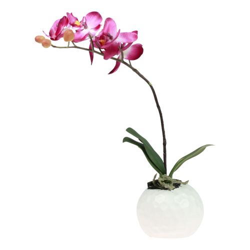 Floristik24 Keinotekoiset orkideat ruukussa Phalaenopsis tekokukat orkideat pinkki 34cm