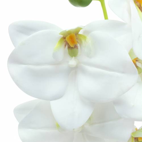 Keinotekoinen orkideahaara Phaelaenopsis White H49cm