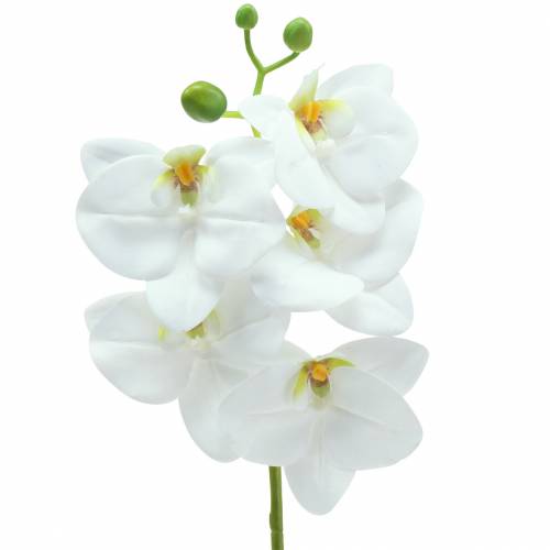 Keinotekoinen orkideahaara Phaelaenopsis White H49cm