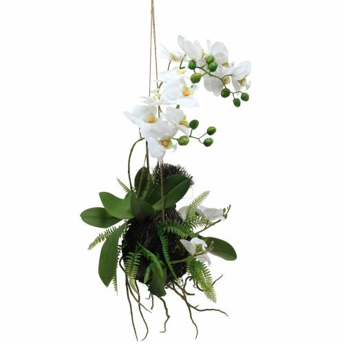 Floristik24 Orkidea saniais- ja sammalpalloilla Keinotekoinen valkoinen riippuva 64cm