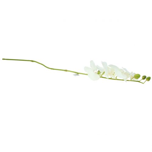 Floristik24 Orchid Phalaenopsis tekovalkoinen 80cm