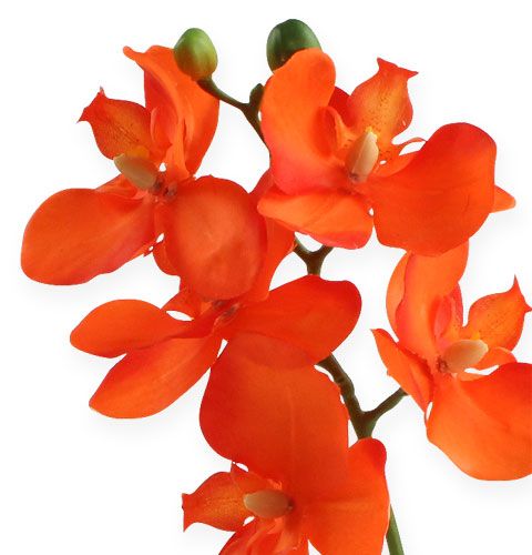 kohteita Keinotekoinen orkidea, lehdet oranssit 35cm