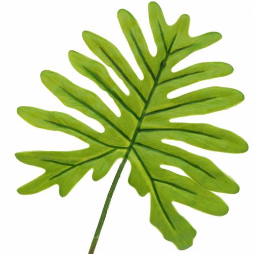Floristik24 Philodendron Leaf Vihreä 40cm