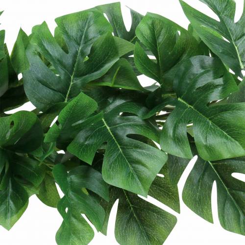 kohteita Philodendron ripustin vihreä 85cm