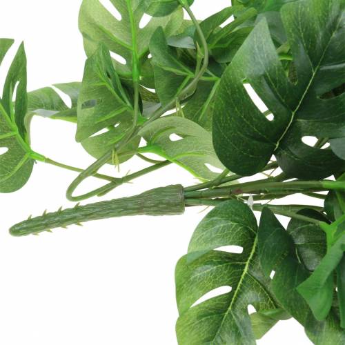 Floristik24 Philodendron ripustin vihreä 85cm