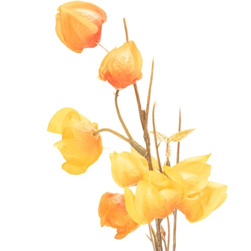 Keinotekoinen kiinalainen lyhtykasvi, Physalis-oksa kukkineen, 95 cm | Floristik24.fi