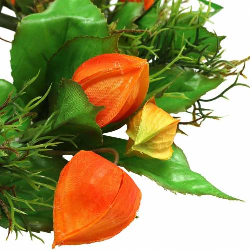 Floristik24 Physalis-seppele keinooranssi, vihreä Ø28cm syyskoristeita