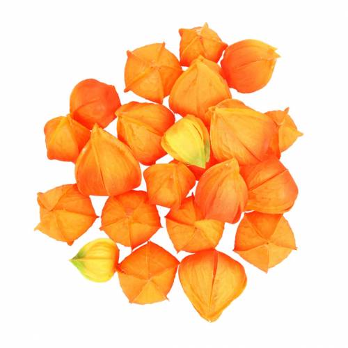 Physalis Orange Assorted 22 kpl koristeellisia tekokukkaverhoja