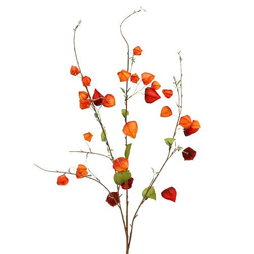 Physalis haara 90cm oranssi 3kpl