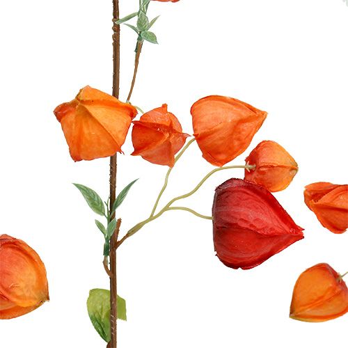 Floristik24 Physalis haara 90cm oranssi 3kpl