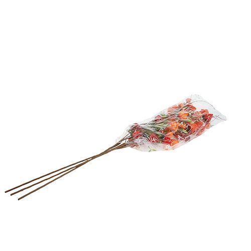 Floristik24 Physalis haara 90cm oranssi 3kpl