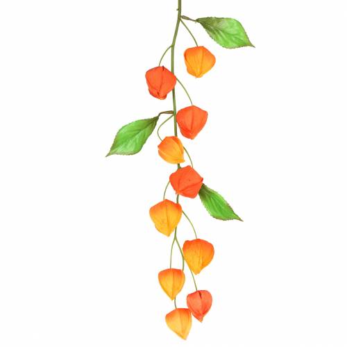 Floristik24 Physalis-oksa keinooranssi 78cm