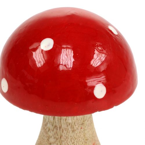 Floristik24 Toadstool puupunaisesta 11,5cm
