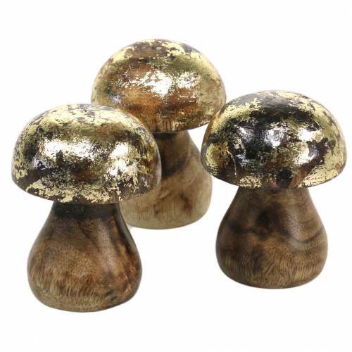 Puusieni Golden, Luonnon mangopuu Ø5cm K6,5cm 4kpl 4kpl