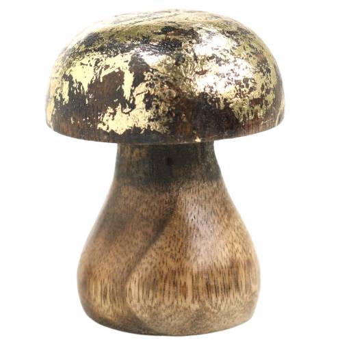 Floristik24 Puusieni Golden, Luonnon mangopuu Ø5cm K6,5cm 4kpl 4kpl