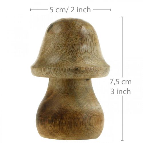 Floristik24 Sieni mangopuu luonnollinen puinen sieni syksykoristeita Ø5cm K7,5cm 6 kpl