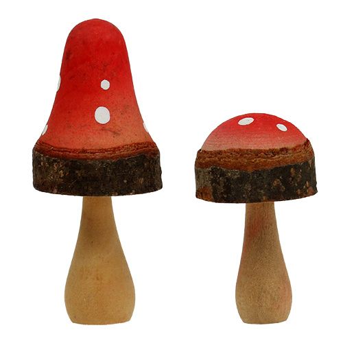 Floristik24 Sienet puuseos 5,5cm - 8cm 8kpl 8kpl
