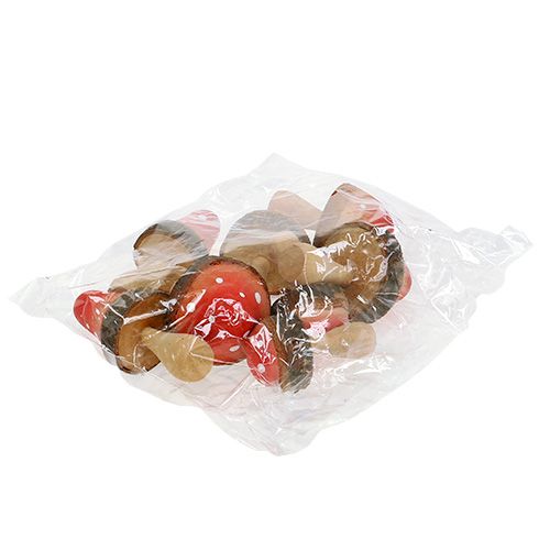 Floristik24 Sienet puuseos 5,5cm - 8cm 8kpl 8kpl